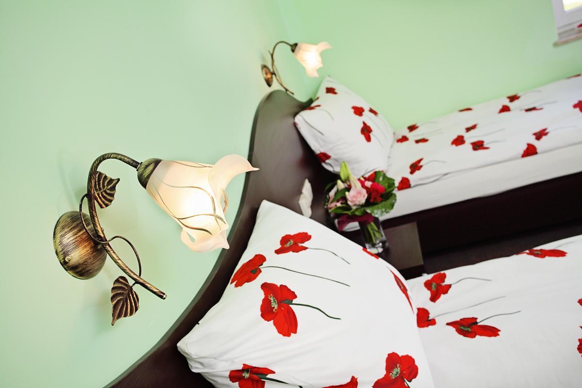 Hotel Albatros Wąsosz Εξωτερικό φωτογραφία