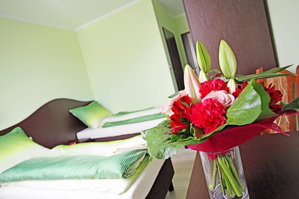 Hotel Albatros Wąsosz Εξωτερικό φωτογραφία